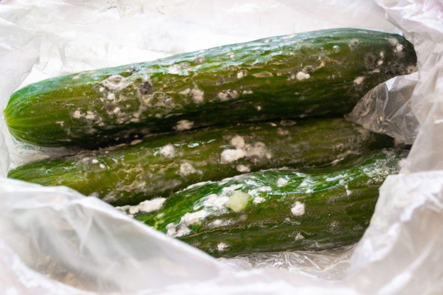 Alimentos que fazem mal: o pepino