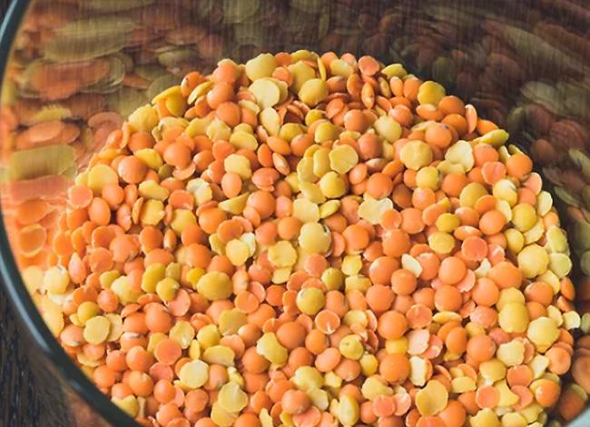 Os alimentos que contêm mais proteínas vegetais