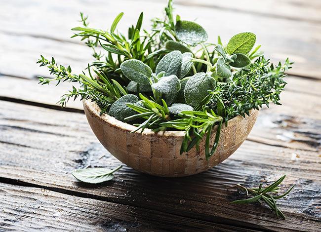 OS BENEFÍCIOS DAS ERVAS AROMÁTICAS E COMO AS USAR