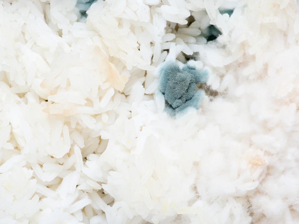 Por que o arroz faz mal?