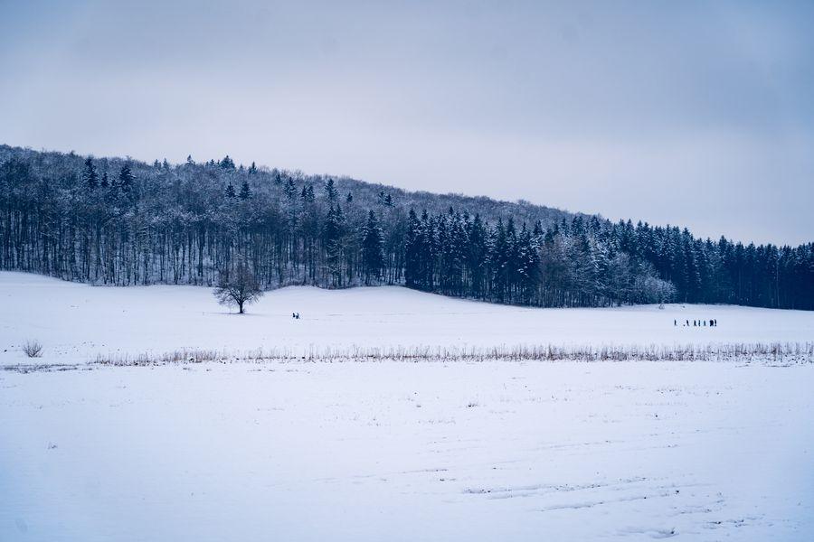 Pessoa com chávena de chá a olhar pela janela no inverno