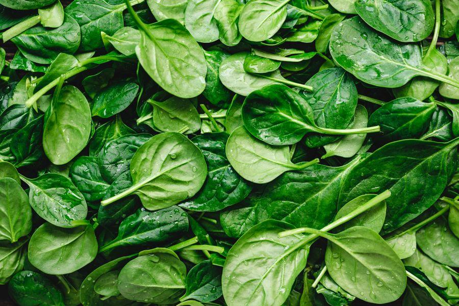 As verduras de folhas verdes