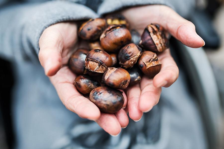 Os benefícios das Castanhas