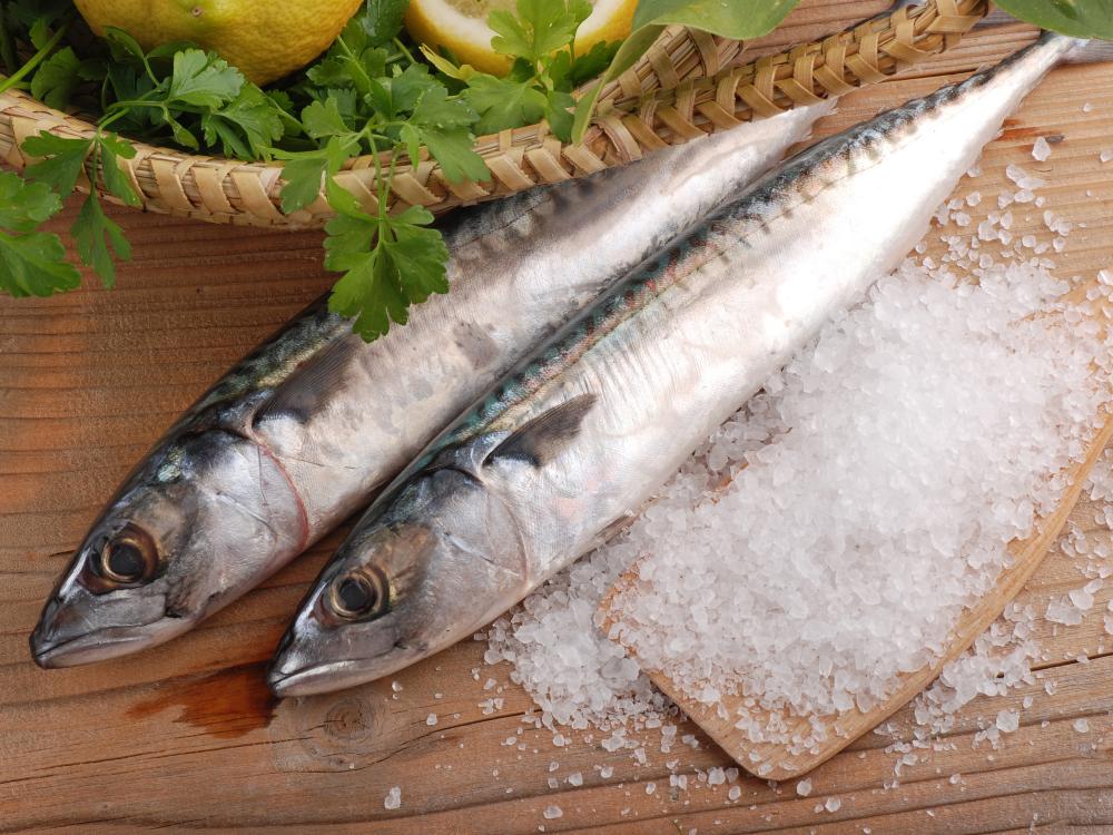 Os benefícios do peixe azul para a saúde
